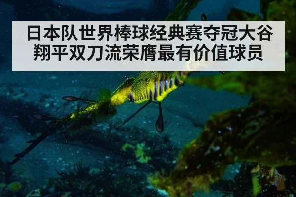 日本队世界棒球经典赛夺冠大谷翔平双刀流荣膺最有价值球员